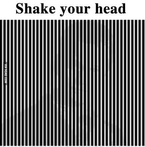 shake_head.jpg